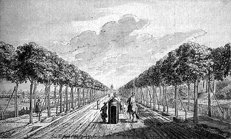 Auf der Allee von Langfuhr nach Danzig